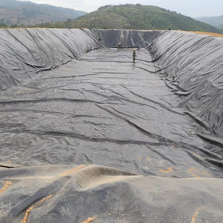 土工膜在花卉種植中的作用